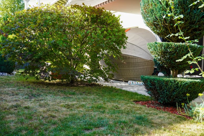 4½ Zimmer-Gartenwohnung im Lindenpark (12)