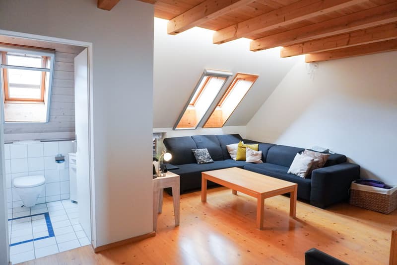 7½-Zimmer-Familienhaus mit viel Raum auf vier Ebenen (12)