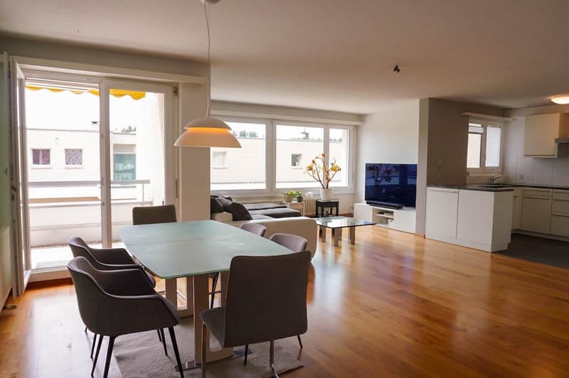 5½ Zimmer-Wohnung mit 78m² Terrasse (6)