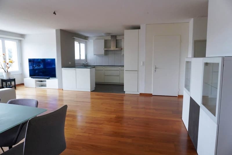 5½ Zimmer-Wohnung mit 78m² Terrasse (3)