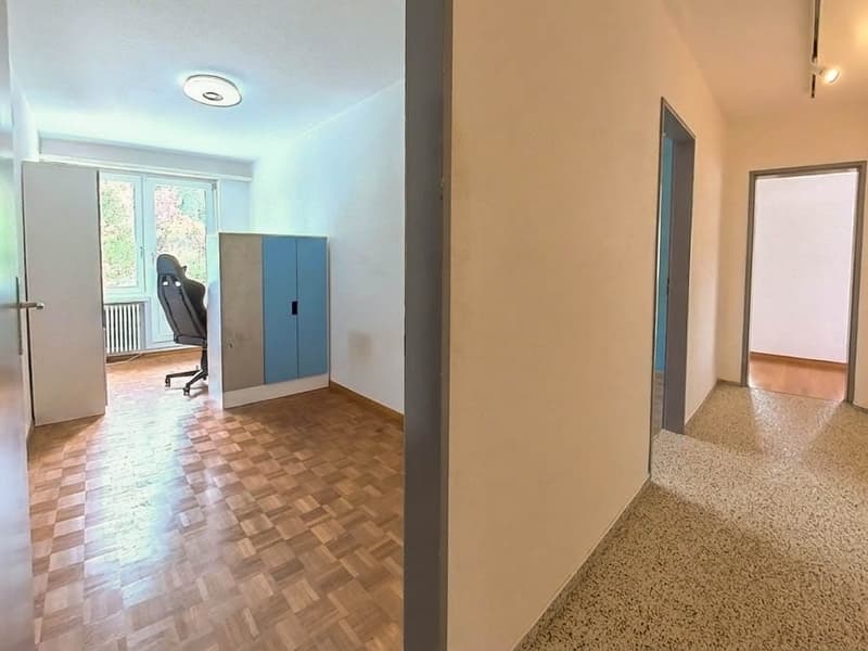 5½-Zimmer-Wohnung mit grosser Terrasse (10)