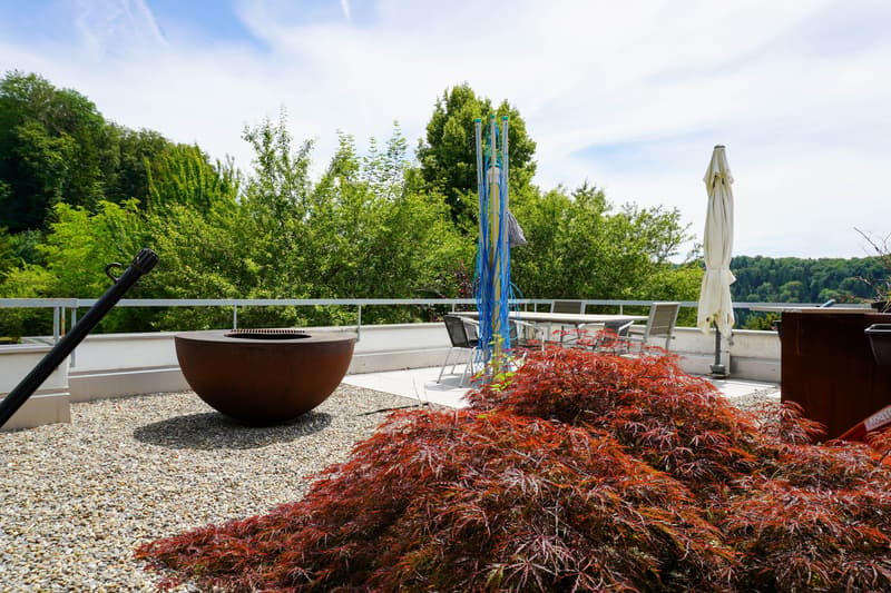 5½-Zimmer-Wohnung mit grosser Terrasse (13)