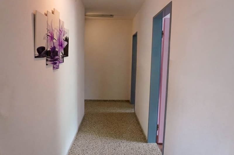 5½-Zimmer-Wohnung mit grosser Terrasse (11)
