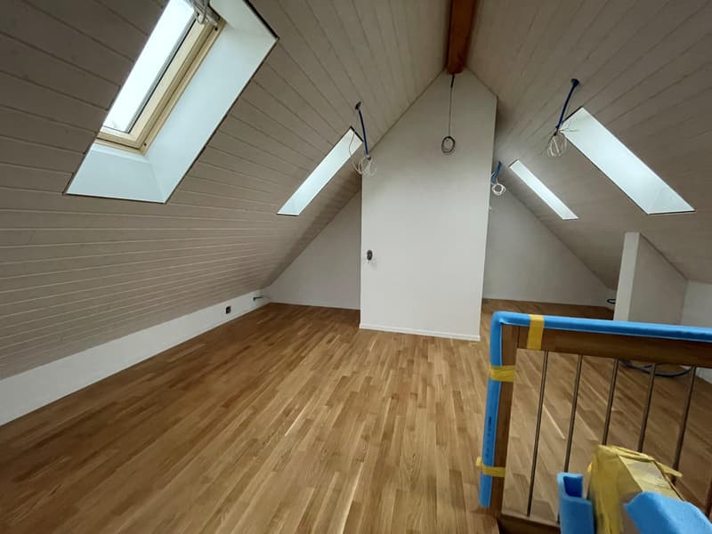 Nouvel appartement en duplex mansardé (3)