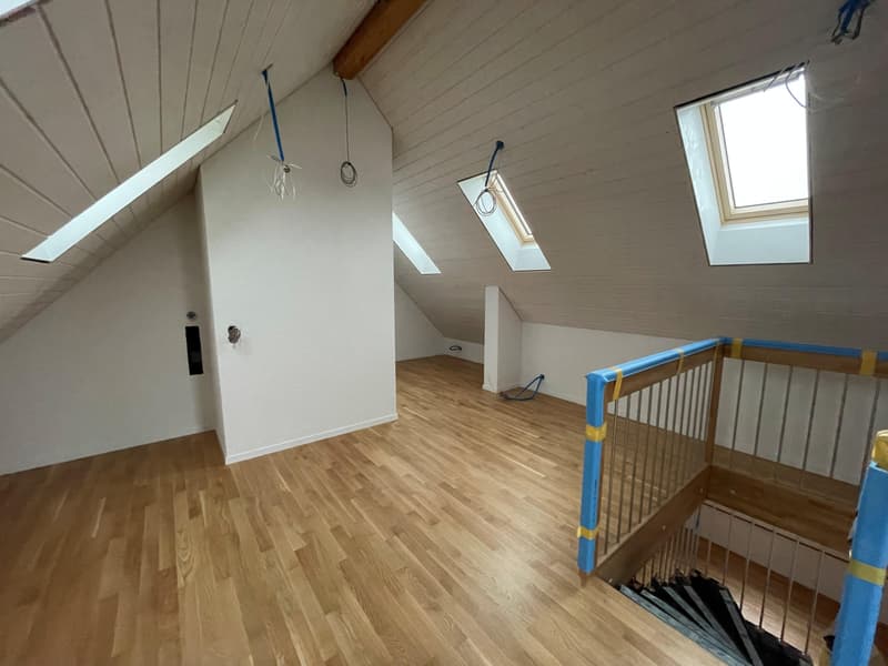 Nouvel appartement en duplex mansardé (2)