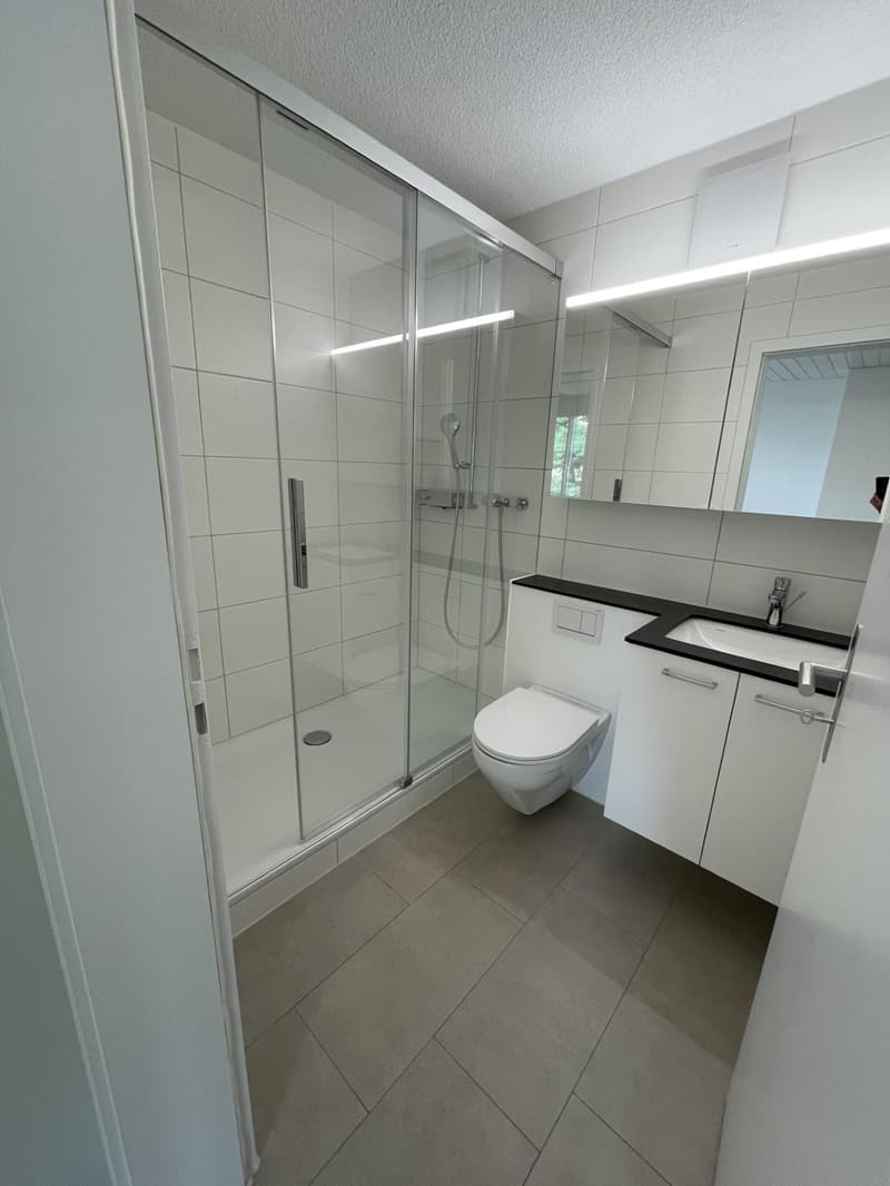 Maisonette-Dachwohnung im Lorrainequartier (7)