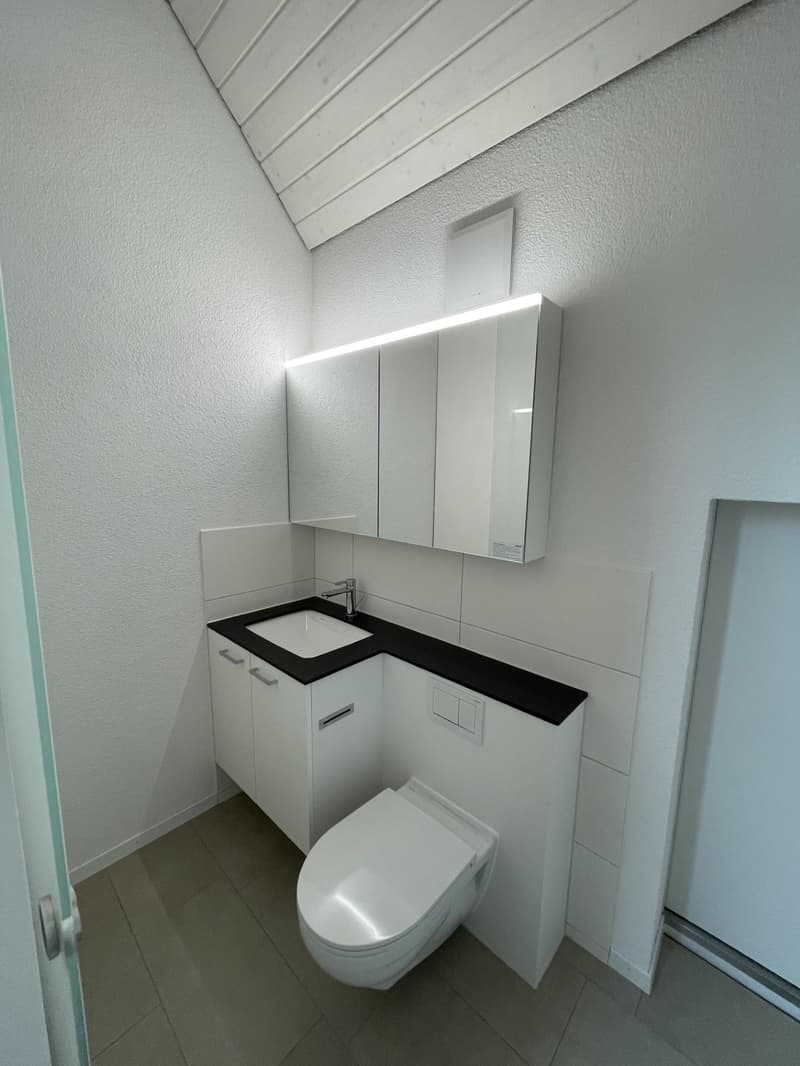 Maisonette-Dachwohnung im Lorrainequartier (8)