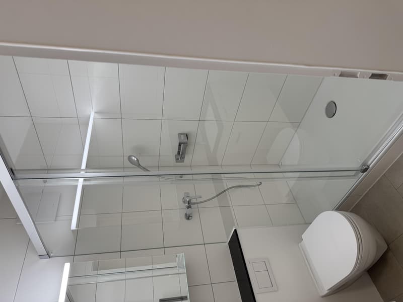 Nouvel appartement en duplex mansardé (8)