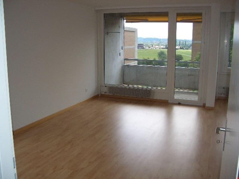 Habiter avec entrée gratuite à la piscine du quartier de Kappelisacker ! (5)