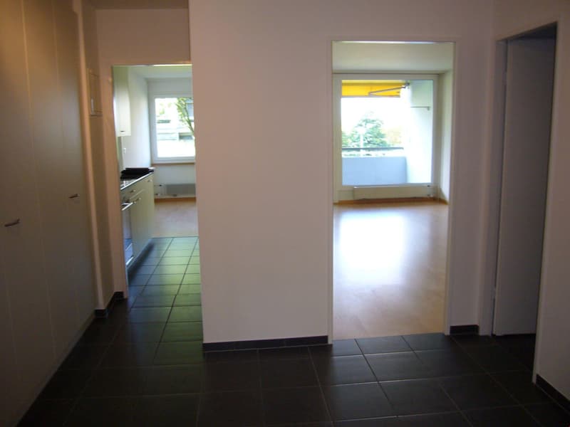 Habiter avec entrée gratuite à la piscine du quartier de Kappelisacker ! (8)