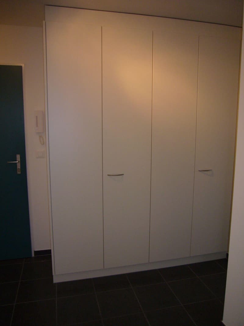 Habiter avec entrée gratuite à la piscine du quartier de Kappelisacker ! (9)
