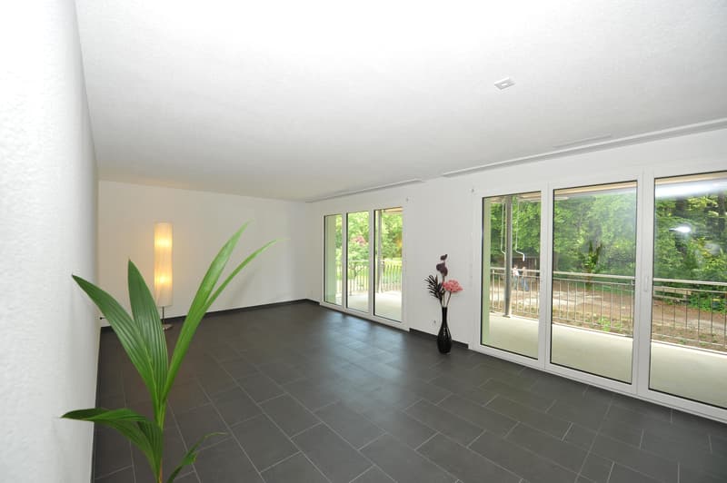 Moderne Erdgeschoss-Wohnung (2)