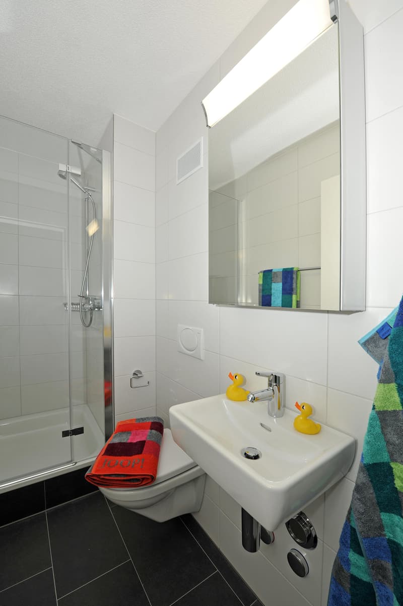Moderne Erdgeschoss-Wohnung (5)