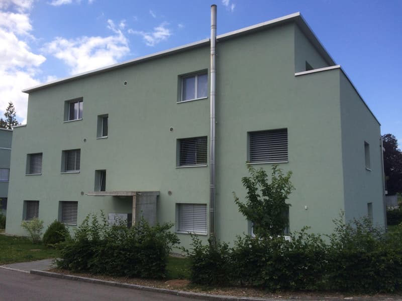 Moderne Erdgeschoss-Wohnung (6)