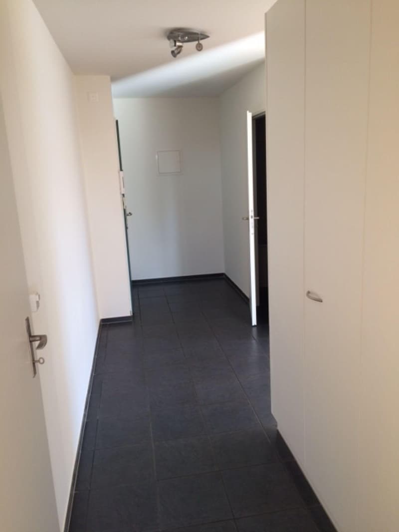 2.5-Zimmerwohnung im Kappelisackerquartier (5)