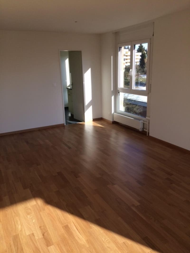 2.5-Zimmerwohnung im Kappelisackerquartier (4)