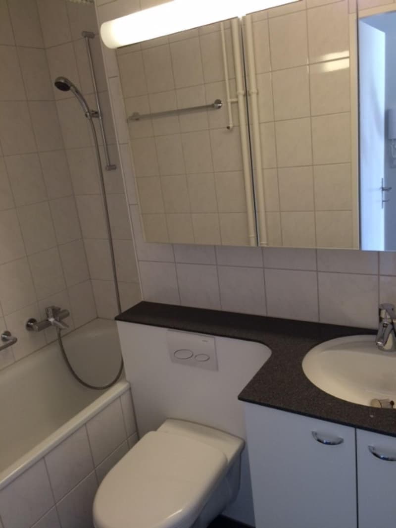 2.5-Zimmerwohnung im Kappelisackerquartier (6)