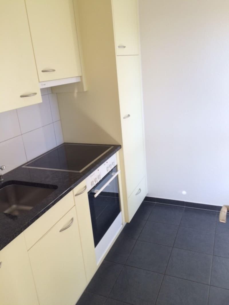 2.5-Zimmerwohnung im Kappelisackerquartier (2)
