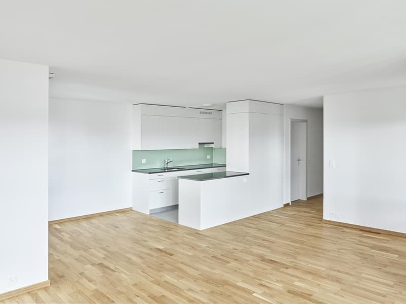 Appartamento di 3,5 locali con vista panoramica nel quartiere di Holenacker (1)