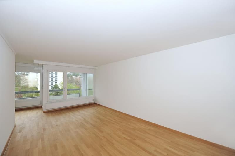 Vivere nel bel quartiere di Seidenberg! (5)