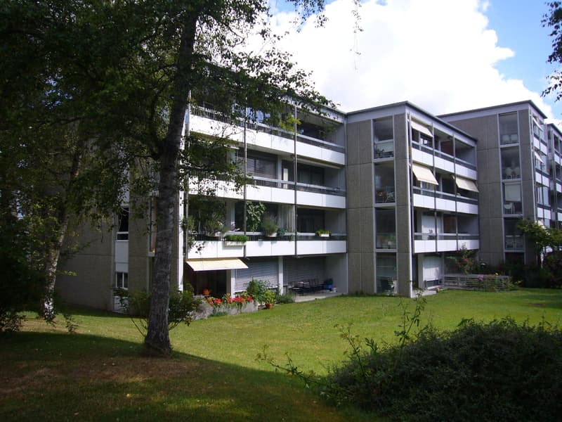 Vivere nel bel quartiere di Seidenberg! (1)