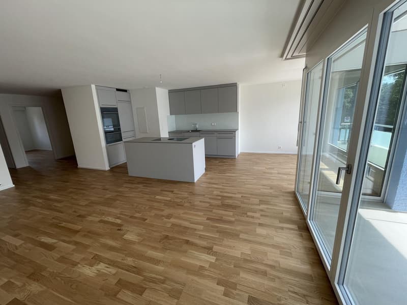 Appartement de 3,5 pièces totalement rénové dans le quartier de Seidenberg (2)
