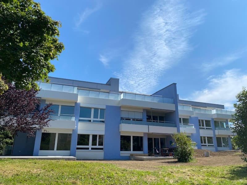 Appartement de 3,5 pièces totalement rénové dans le quartier de Seidenberg (6)