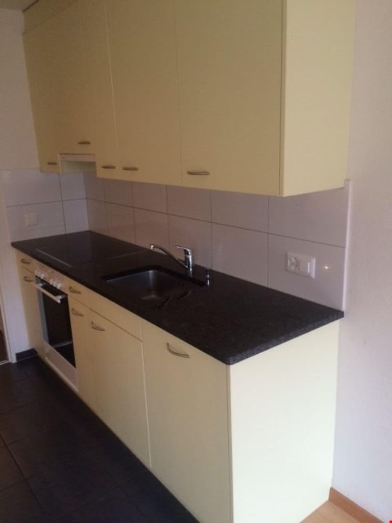 Wohnen mit Gratiseintritt ins Quartierhallenbad Kappelisacker! (2)