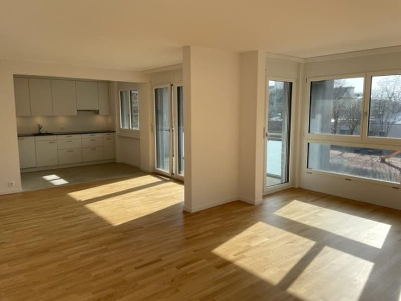 Ihr neues Zuhause im Schweizerhubelquartier (1)