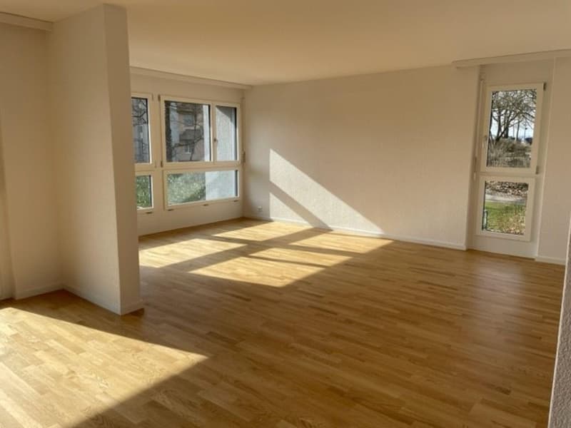 Ihr neues Zuhause im Schweizerhubelquartier (2)