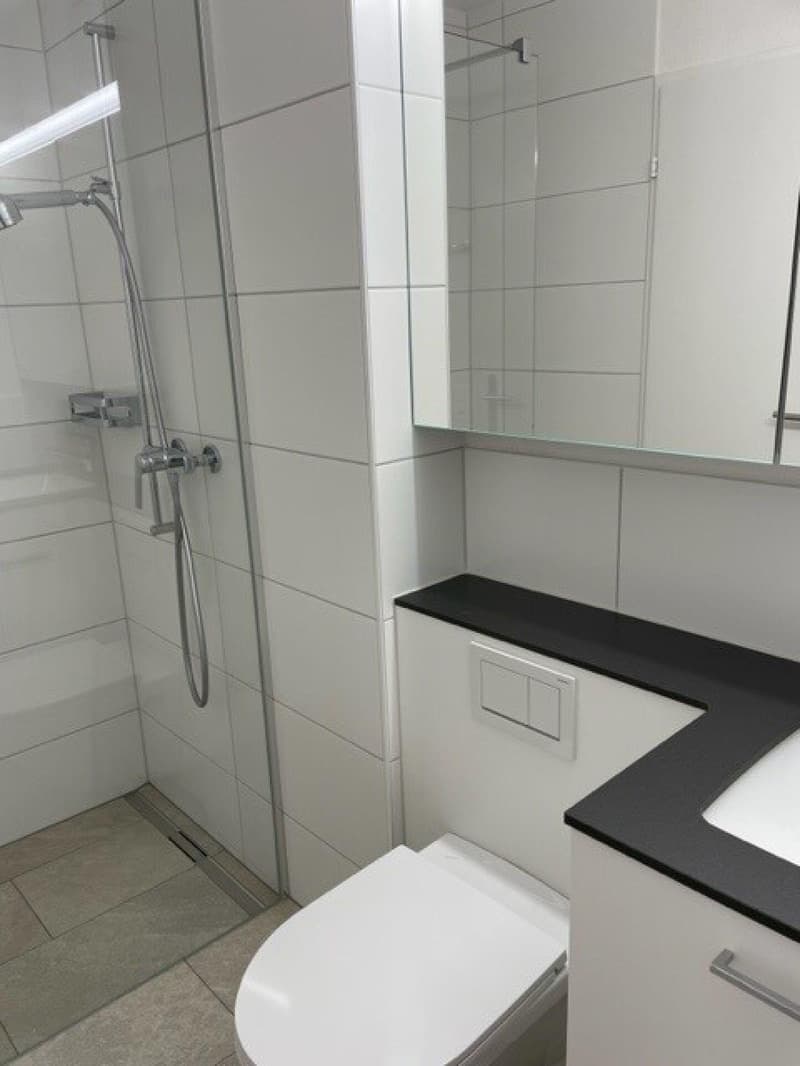 Ihr neues Zuhause im Schweizerhubelquartier (5)