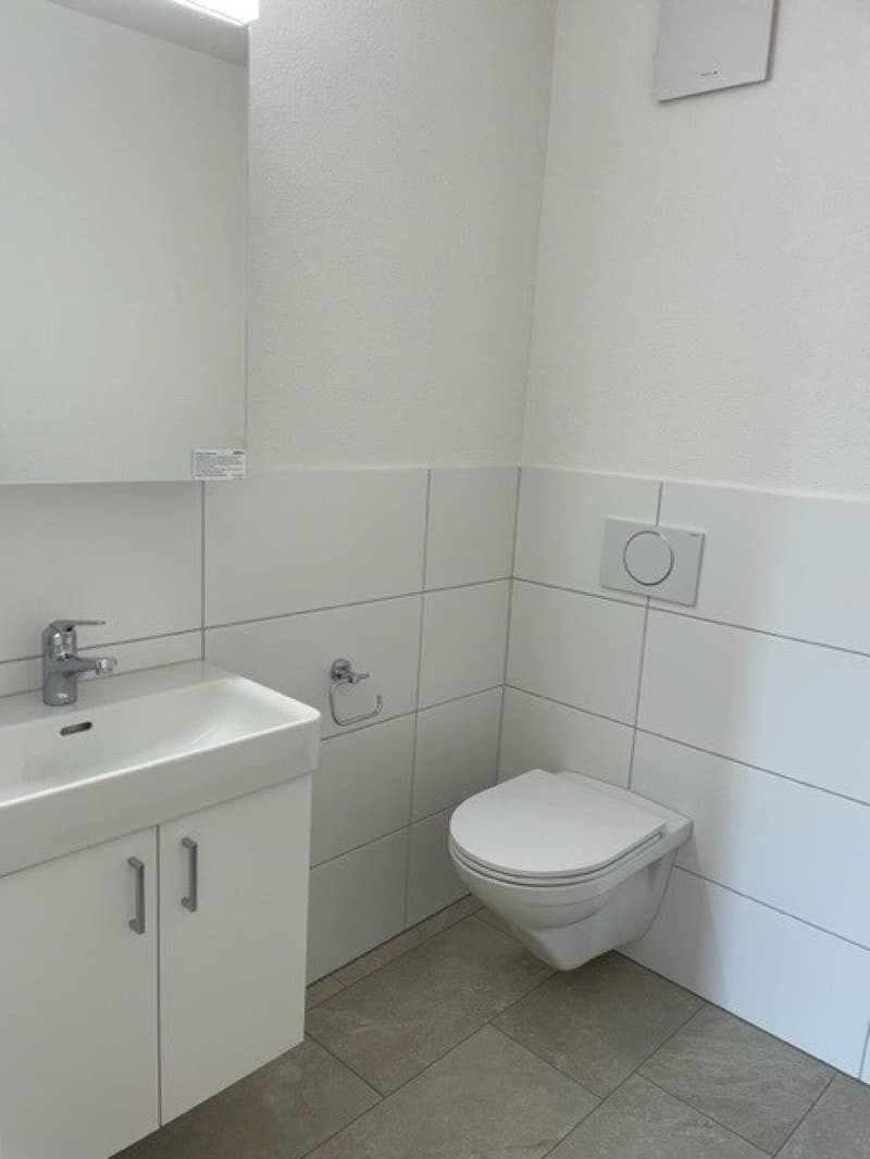 Ihr neues Zuhause im Schweizerhubelquartier (6)