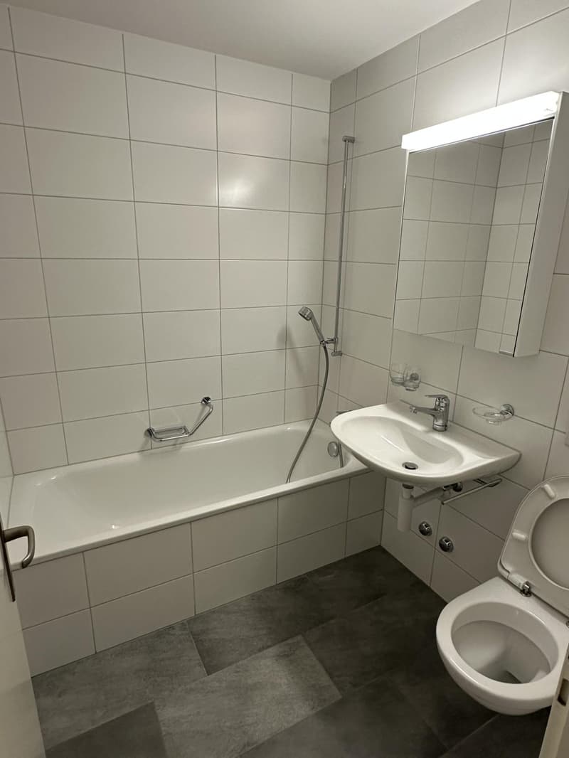 2.5-Zimmerwohnung mit unverbaubarer Aussicht (6)