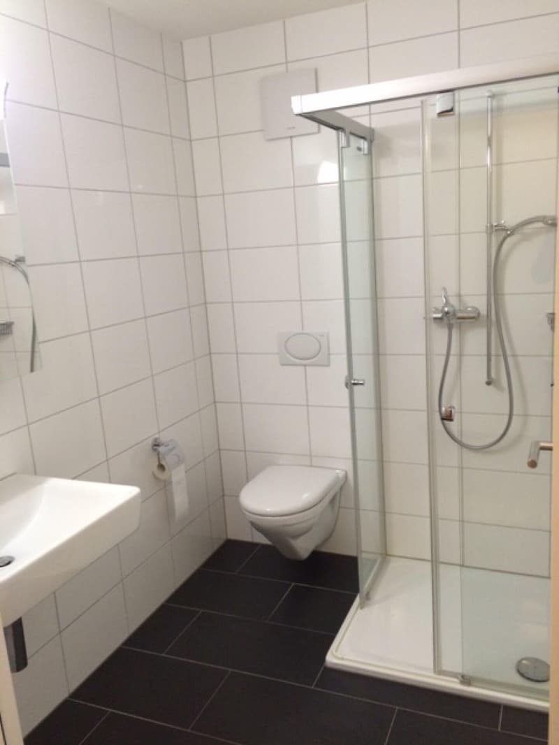 Grosszügige 3.5-Zimmerwohnung in Oensingen (4)