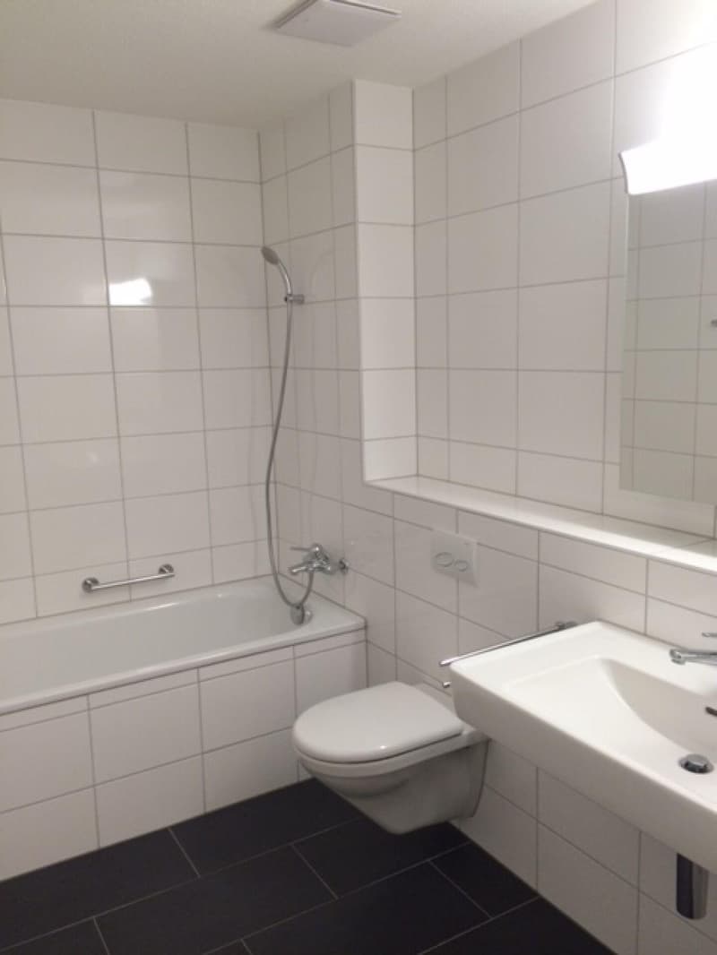 Grosszügige 3.5-Zimmerwohnung in Oensingen (5)