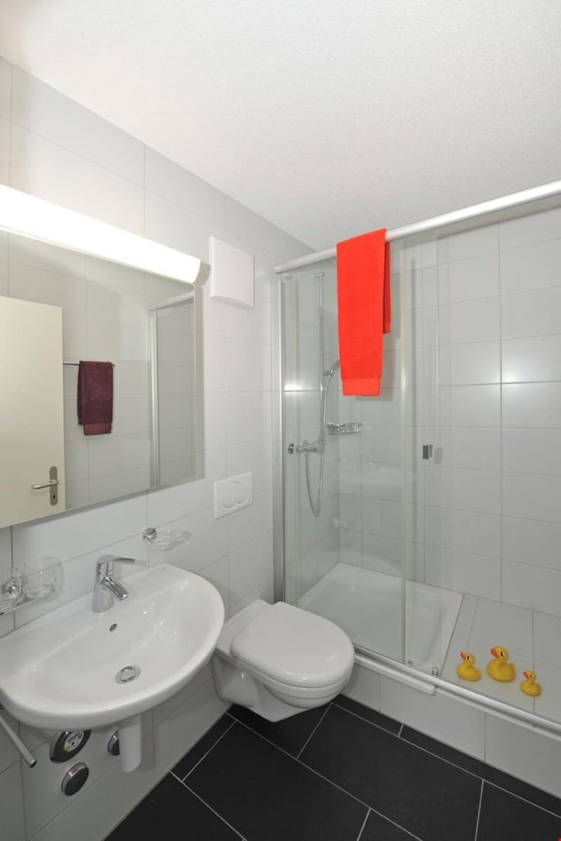 3.5 Zimmerwohnung mit Gartensitzplatz (2)