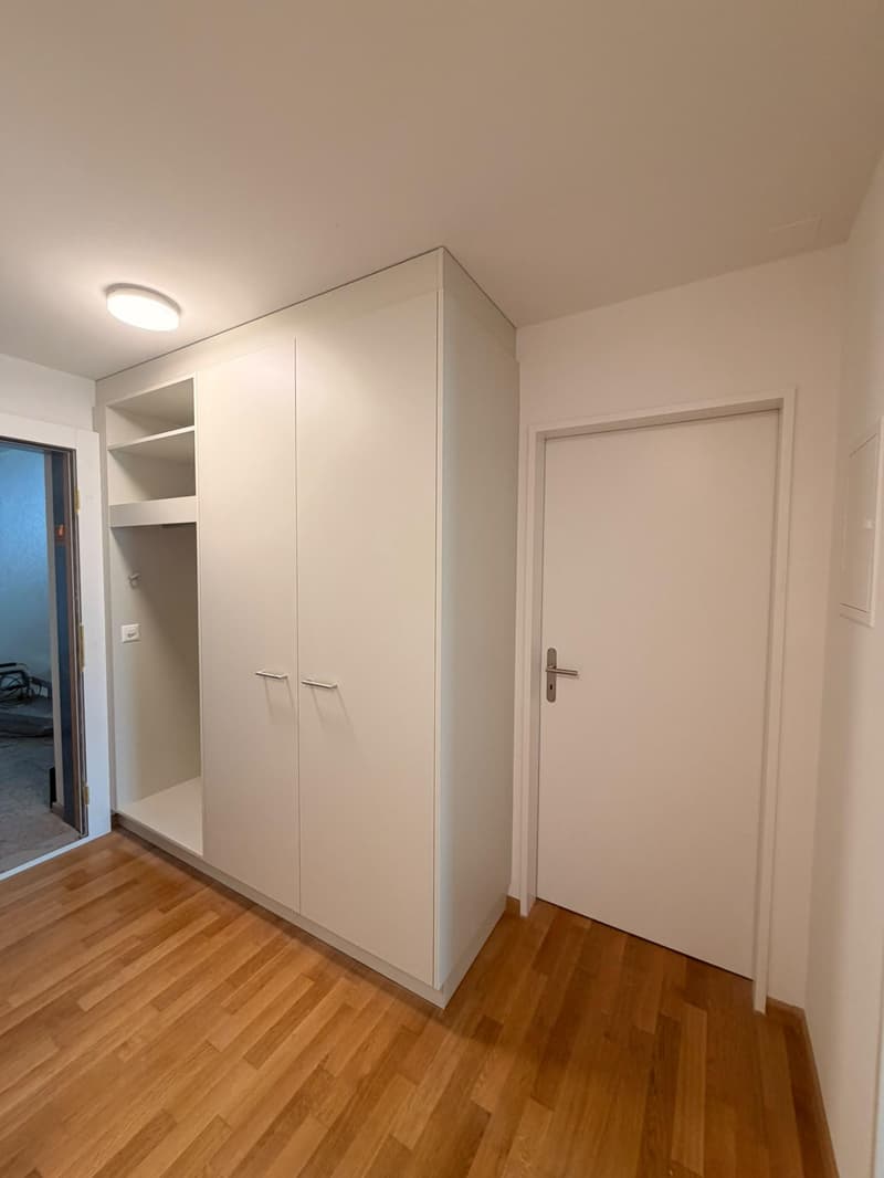 Neu sanierte 3 1/2-Zimmerwohnungen (3)