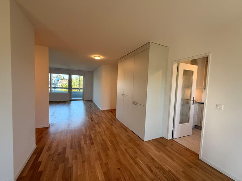 Neu sanierte 4.5 Zimmerwohnung in Rheinfelden (7)