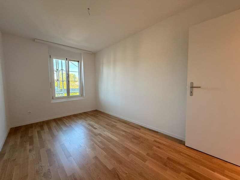 Neu sanierte 4.5 Zimmerwohnung in Rheinfelden (10)