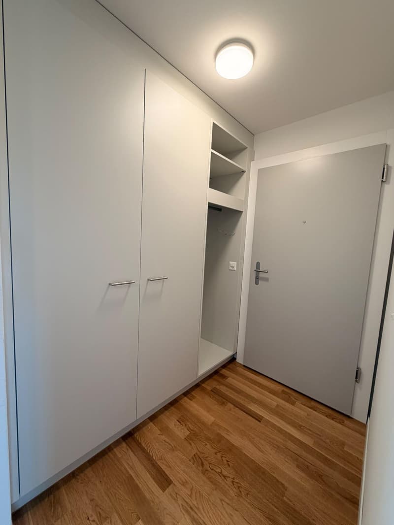 Neu sanierte 4.5 Zimmerwohnung in Rheinfelden (11)
