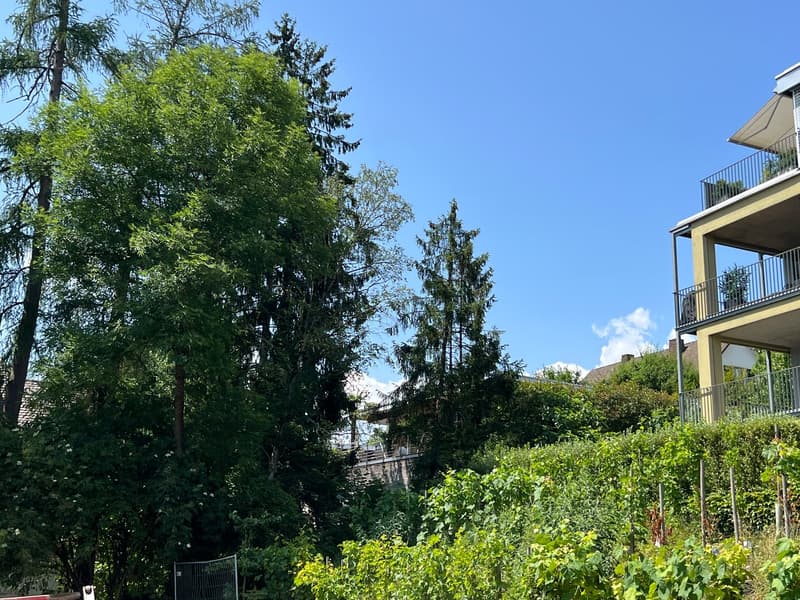 Charmante 4.5-Zimmer-Loftwohnung im Grünen an ruhiger Lage in Eglisau (4)