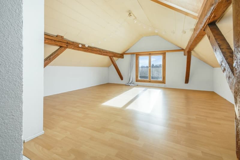 Spacieuse maison unifamiliale de 8,5 pièces avec beaucoup d'espace pour toute la famille à Haag (14)