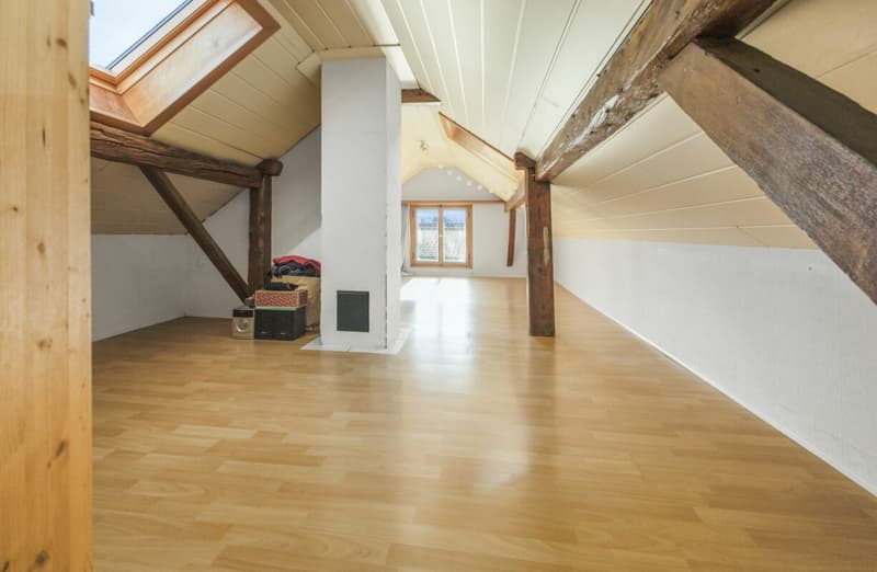 Spacieuse maison unifamiliale de 8,5 pièces avec beaucoup d'espace pour toute la famille à Haag (13)