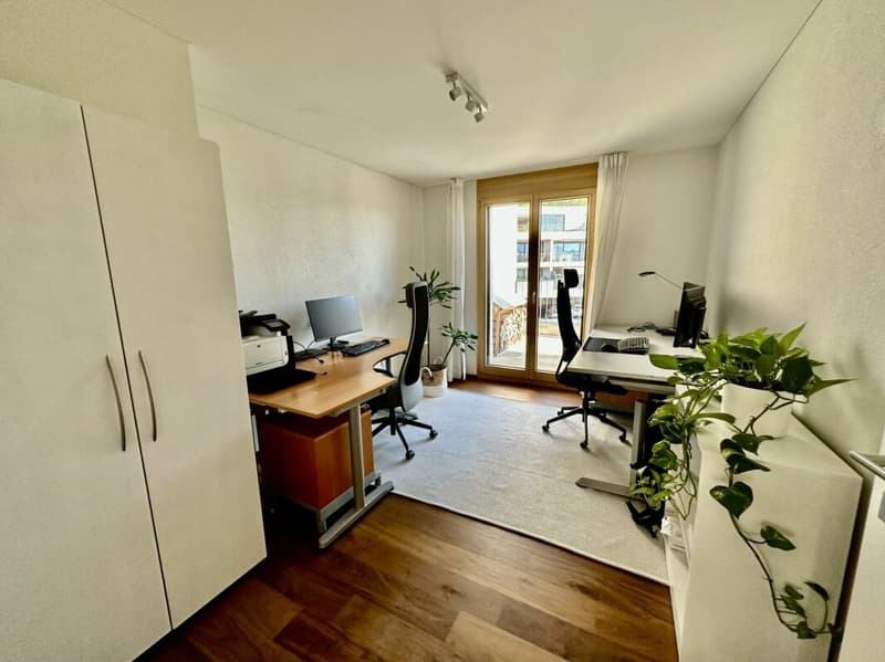 Appartement d'attique élégant de 5,5 pièces avec vue panoramique dans un excellent emplacement dans le havre fiscal (12)