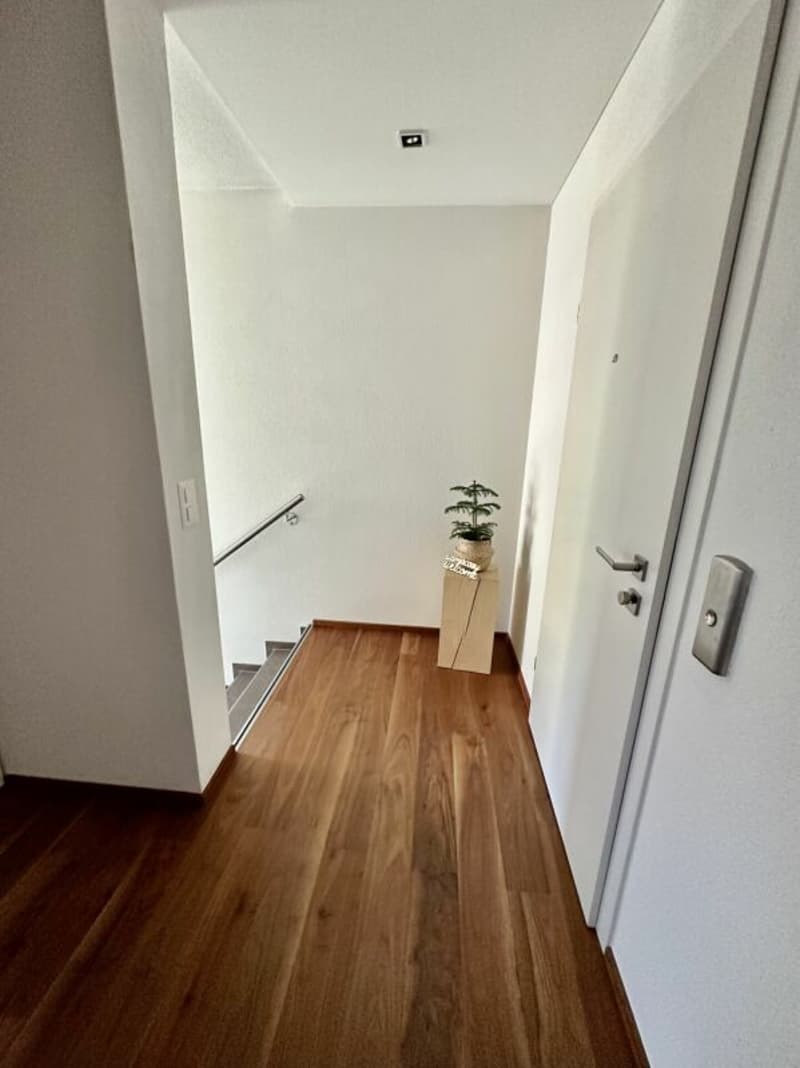 Appartement d'attique élégant de 5,5 pièces avec vue panoramique dans un excellent emplacement dans le havre fiscal (20)