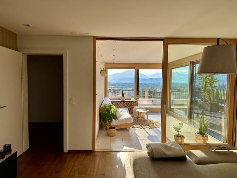 Appartement d'attique élégant de 5,5 pièces avec vue panoramique dans un excellent emplacement dans le havre fiscal (8)
