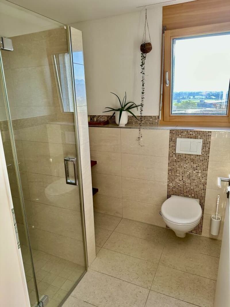 Appartement d'attique élégant de 5,5 pièces avec vue panoramique dans un excellent emplacement dans le havre fiscal (18)