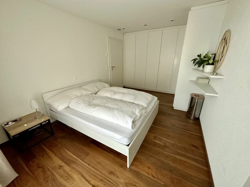 Appartement d'attique élégant de 5,5 pièces avec vue panoramique dans un excellent emplacement dans le havre fiscal (9)