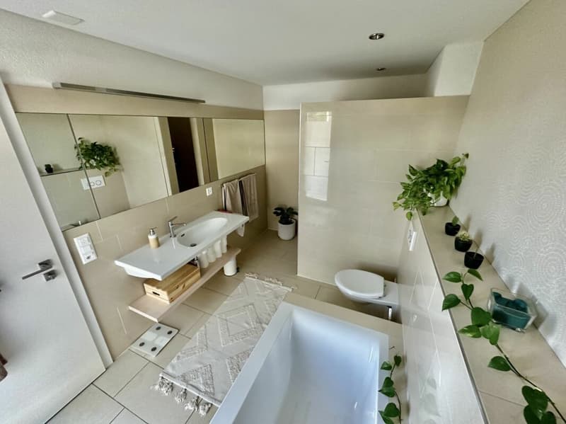 Appartement d'attique élégant de 5,5 pièces avec vue panoramique dans un excellent emplacement dans le havre fiscal (10)