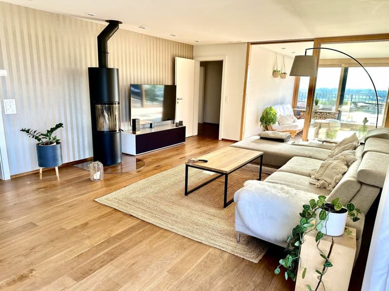 Appartement d'attique élégant de 5,5 pièces avec vue panoramique dans un excellent emplacement dans le havre fiscal (6)